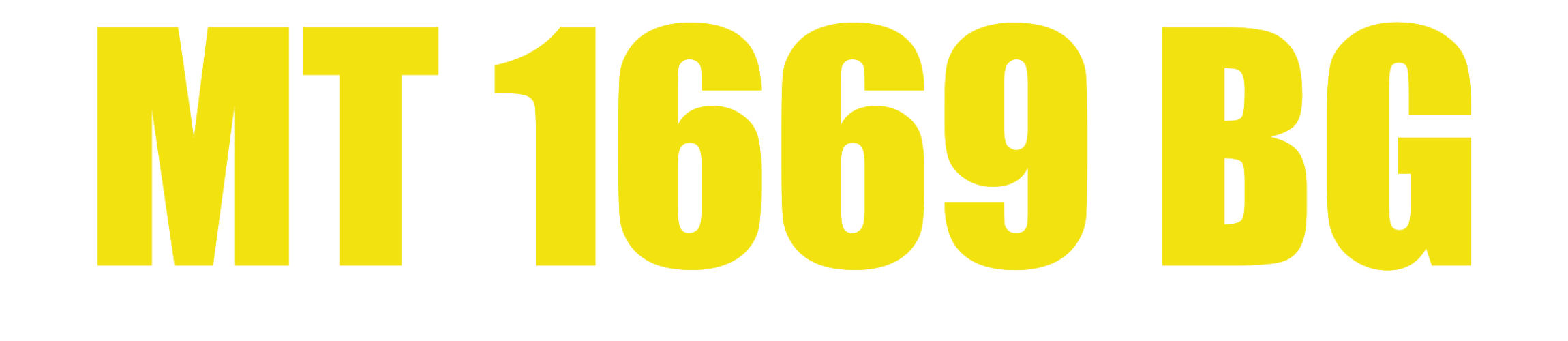 MT 1669 BG