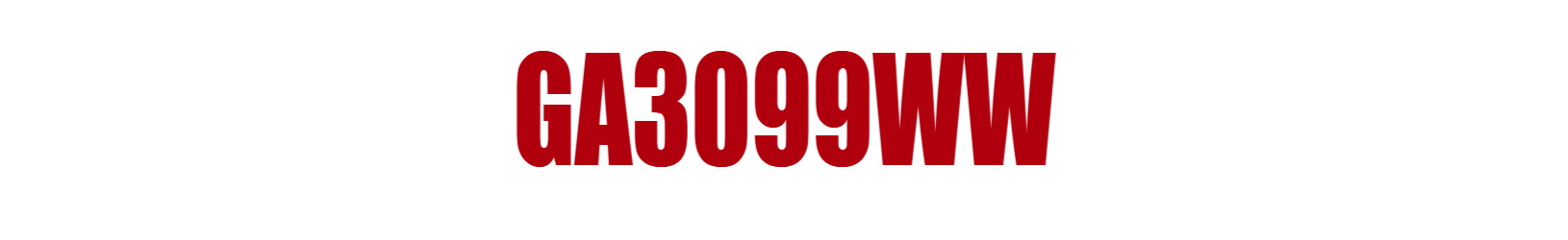 GA3099WW