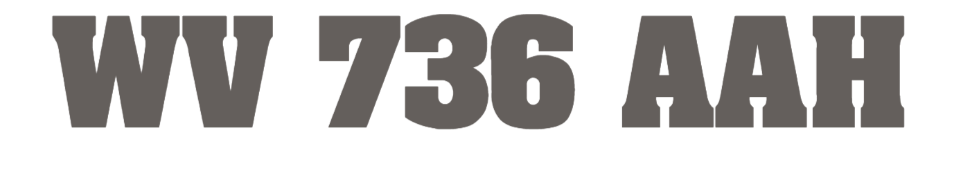 WV 736 AAH