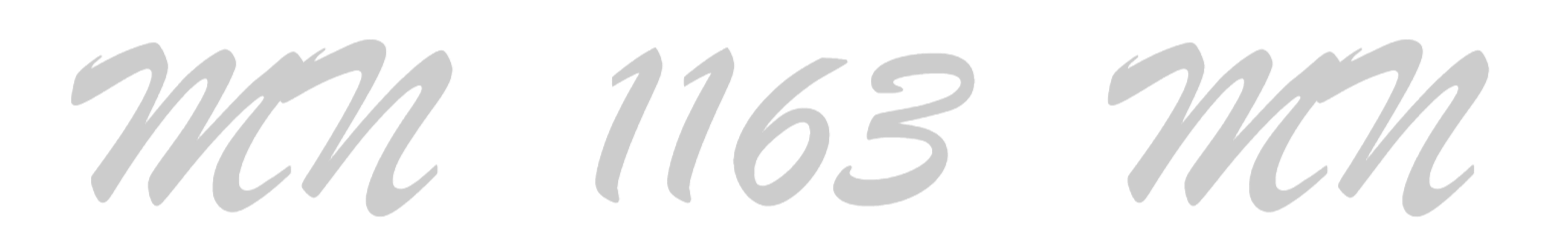 MN 1163 MN
