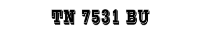TN 7531 BU