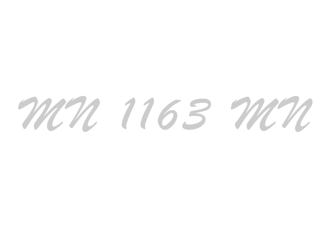 MN 1163 MN