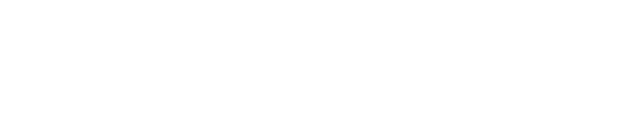 MN 3077 MN