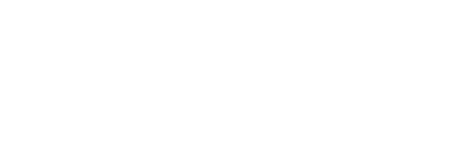 SC 4385 EE