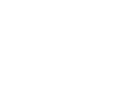 TX 4960 KZ