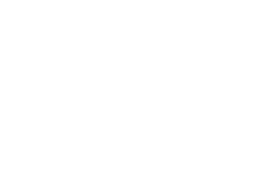 TX 4960 KZ