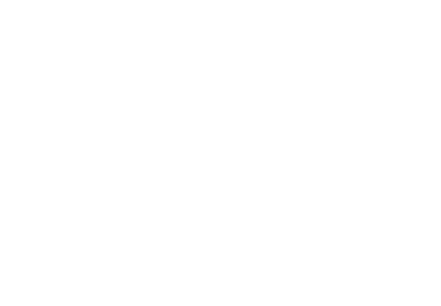 TN  4138  SP