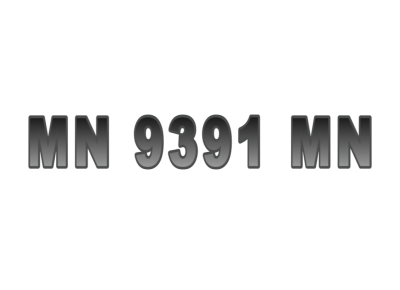 MN 9391 MN