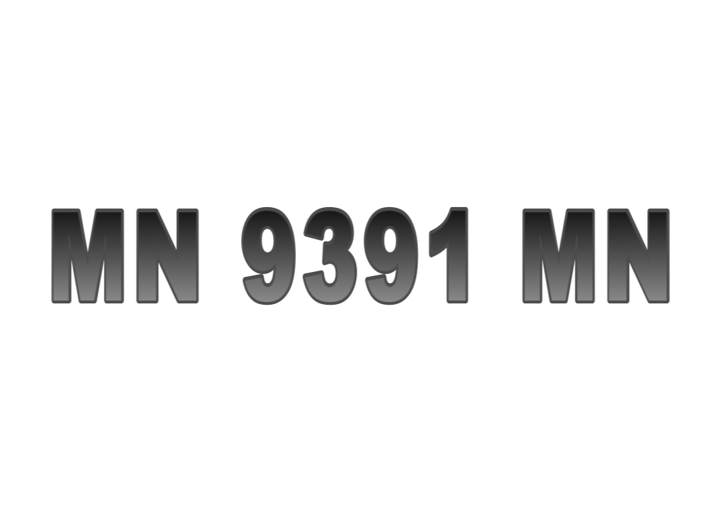MN 9391 MN