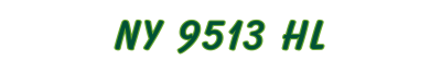 NY 9513 HL