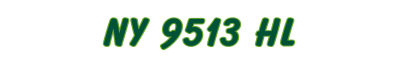 NY 9513 HL