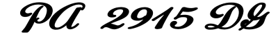 PA  2915 DG