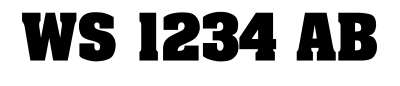 WS 1234 AB
