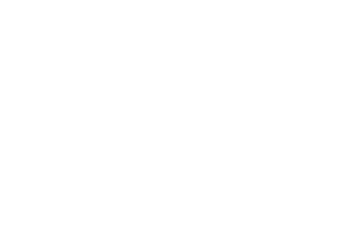 OK 3399 RF
