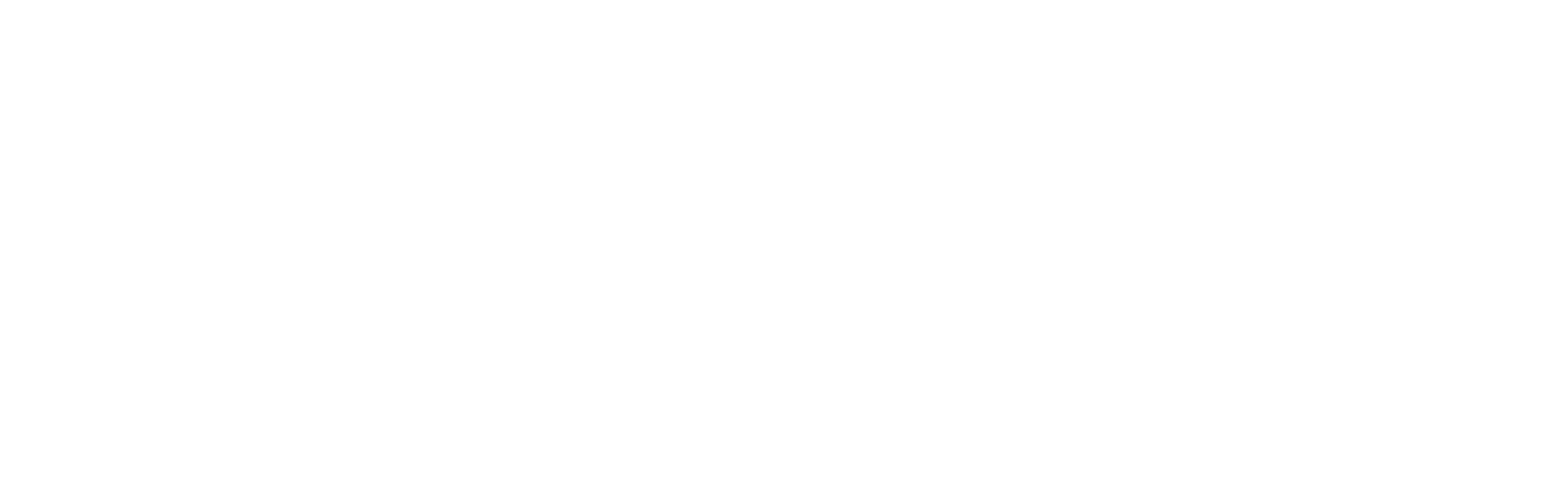 MN 4002 MP