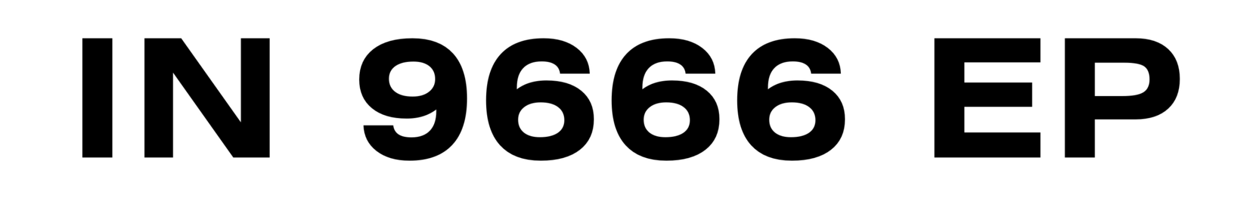 IN 9666 EP