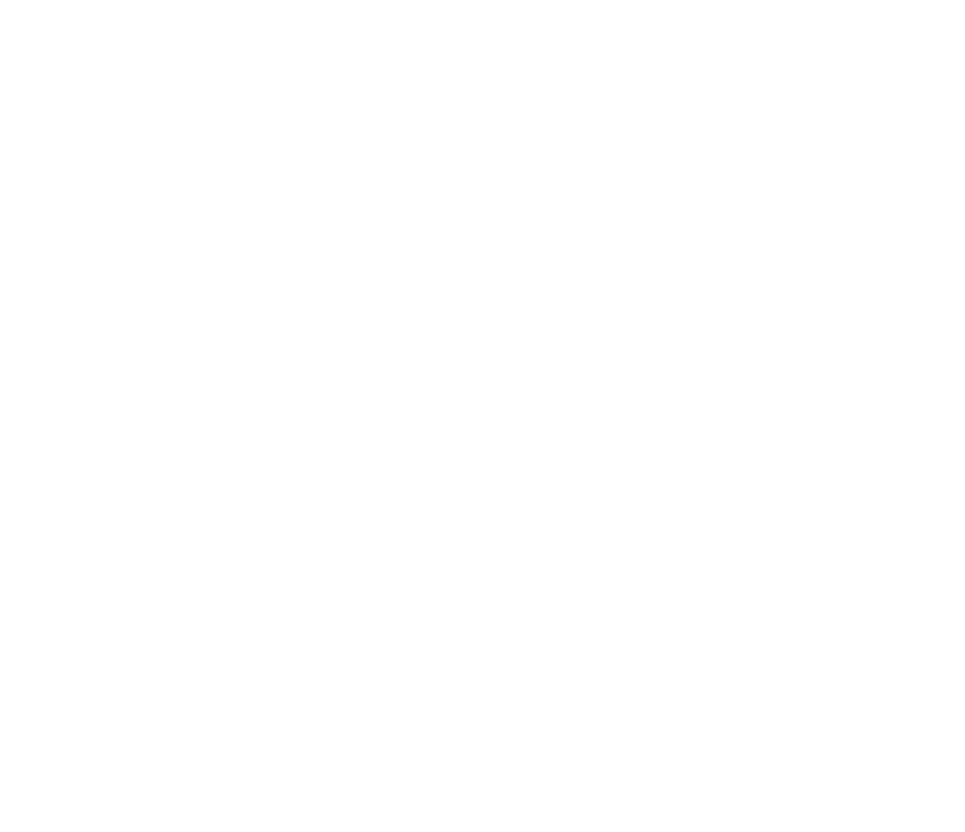 RI 1978 VM