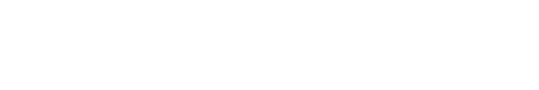 NB 0081 VX