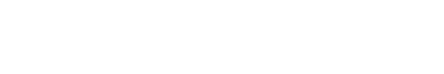 NB 0081 ZL