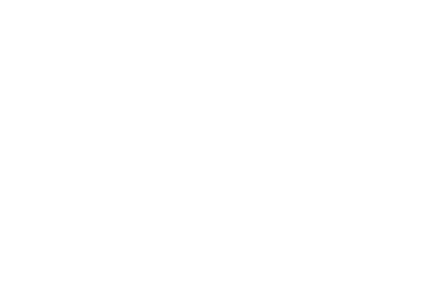 NJ 3904 HT