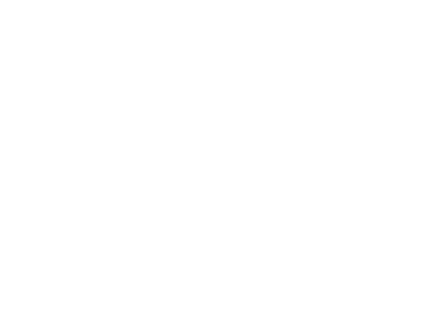 IL 1282 LG