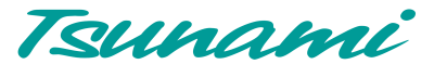 Tsunami