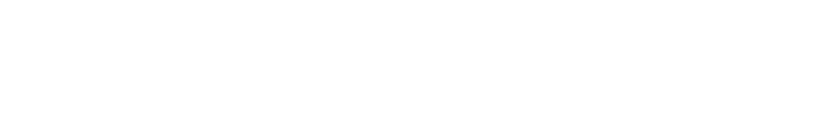FL 0808 TN
