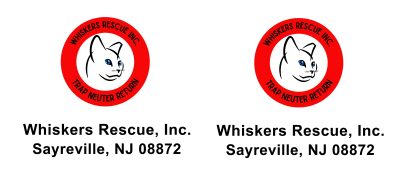 Whiskers Rescue Van Lettering Package